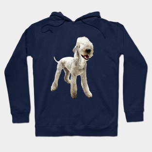 Bedlington Terrier Hoodie